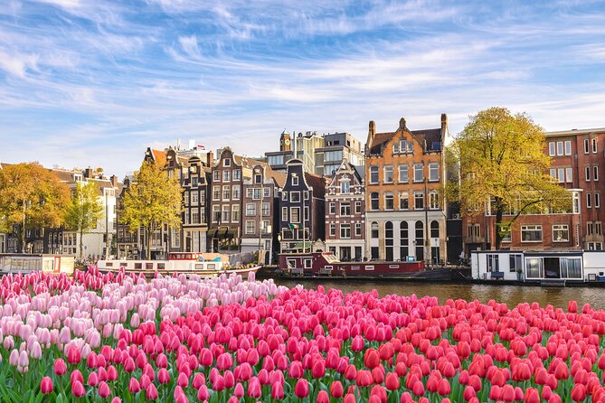Private transfer from Brussels to Amsterdam, 2h Stop in The Hague - Key highlights worth knowing before you go