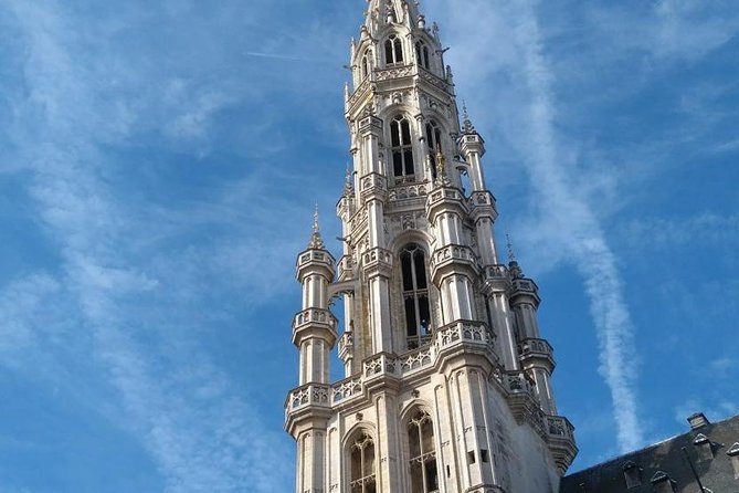 Private walking tour : Brussels historical city center Half Day - Comfort, Ticket Planning, and Weather Sense