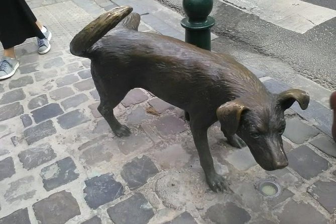 Private walking tour : Brussels historical city center Half Day - Who This Tour Suits Best