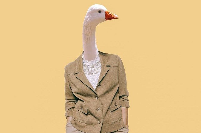 Real Life Game of the Goose - Interactive city walk in Antwerp - Who Should Book This Antwerp Game Walk (and Who Might Skip It)