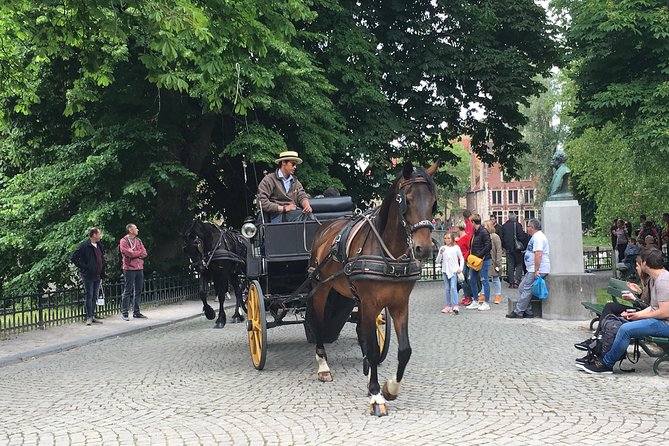 Round-Trip Shuttle Service from Zeebrugge to Bruges - Finding the meeting point outside the Zeebrugge cruise terminal