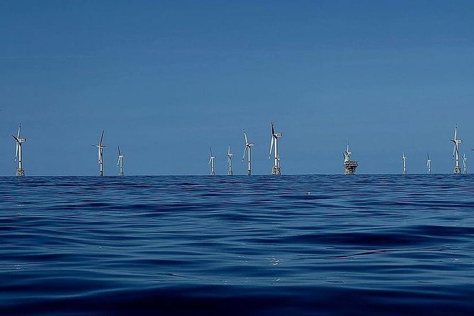 Unforgettable sea trip to the wind farms in the North Sea - What you actually see at the wind farm, and why the distance matters
